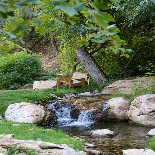 Serene garden with a wooden chair